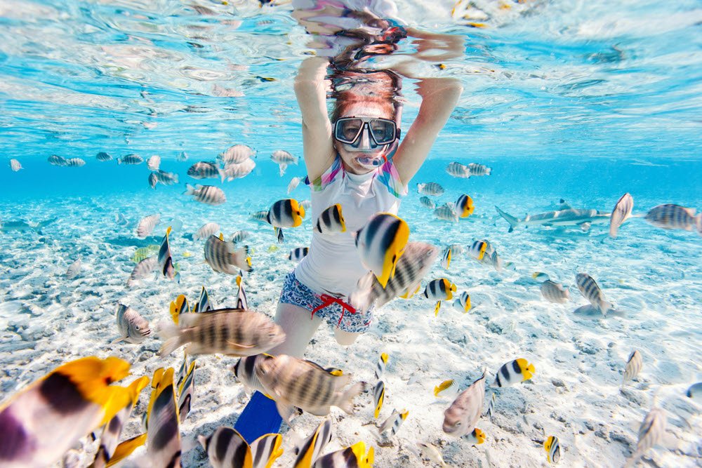 Kvinde der snorkler blandt farverige fisk